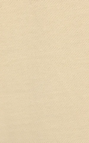 پولوشرت زنانه Colin's کد CL1079949 - Image 6