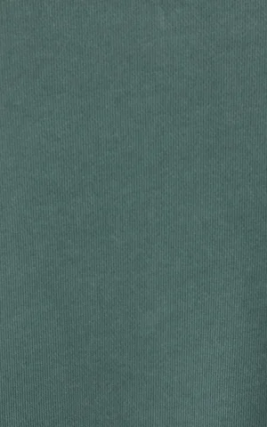 جلیقه زنانه سبز یقه گرد با لبه کشباف COLIN'S کد CL1081835 - تصویر 6