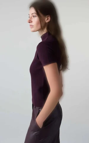 تیشرت زنانه یقه ایستاده آستین کوتاه ساده IPEKYOL کد IW6260050209 - تصویر 4