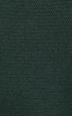 پلیور مردانه یقه گرد ساده در دو رنگ بژ و سبز COLIN'S کد CL1076438 - تصویر 10