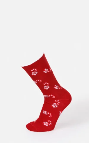 جوراب زنانه Colin's کد CL1071565 - Image 2