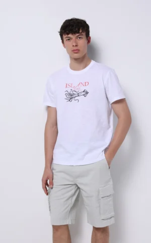 تیشرت مردانه Colin's کد CL1074201