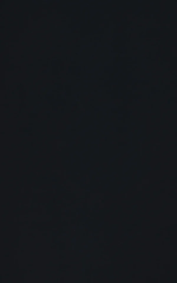 کاپشن مردانه Colin's کد CL1076391 - Image 2