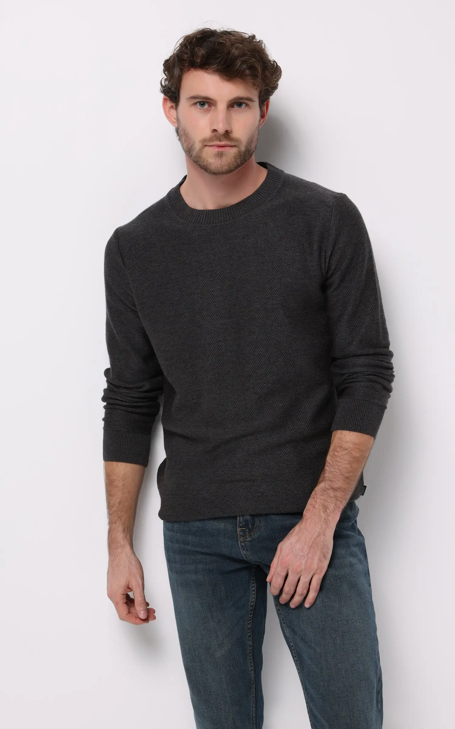 CL1076471-1 پلیور مردانه Colin's کد CL1076471 - Image 1