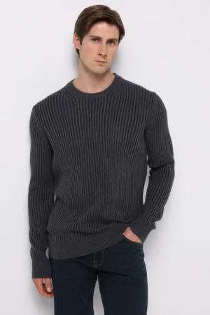 پلیور مردانه Colin's کد CL1076733