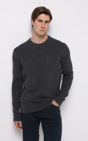 پلیور مردانه Colin's کد CL1076733