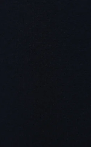 تیشرت آستین بلند مردانه Colin's کد CL1077104 - Image 4