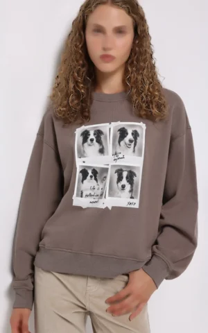 سوییشرت زنانه Colin's کد cl1075938