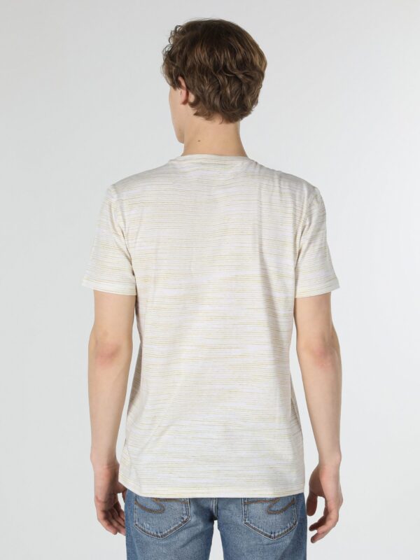 تیشرت مردانه Colins کد cl1058833 - Image 2